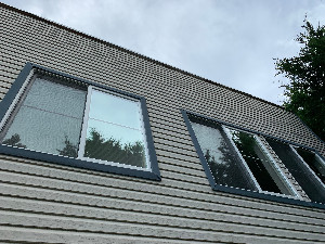 Mold Mitigation