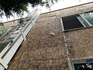 mold mitigation