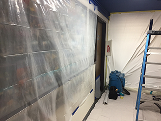 mold removal