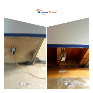 Water mitigation before and after