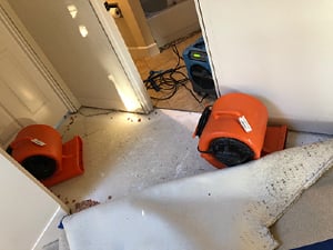 WaterRemovalSecond9.jpg