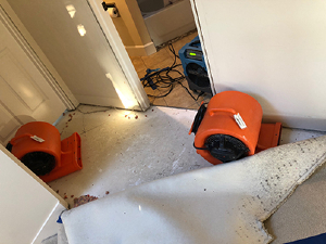 water removal 