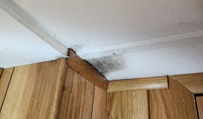 mold-growth-water-intrusionMD .jpg