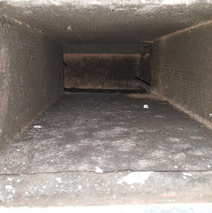 Microbial air ducts