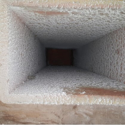 Mold on air duct
