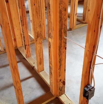 Mold removed on interior