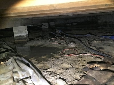 CrawlspaceFirst1.jpg
