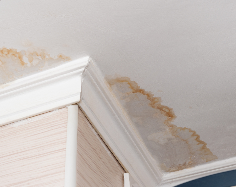 What to Do When You Discover Water Damage in Your Home