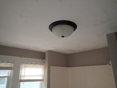 CeilingFirst6.jpg