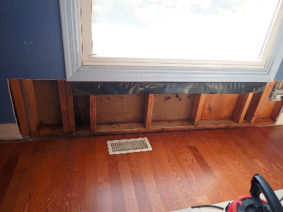 mold demolition 