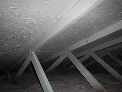 mold remediation 