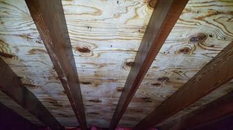 mold remediation 