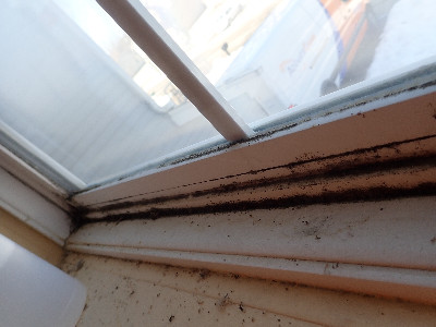 Mold on windows