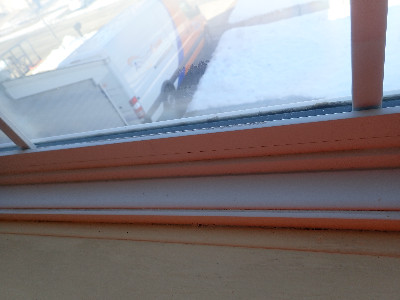 window mold remediation 