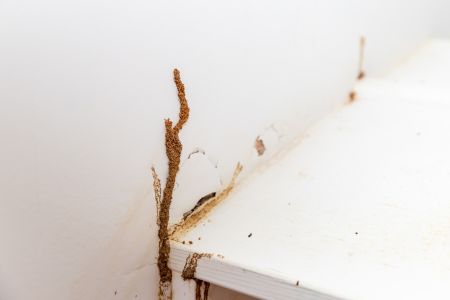 Executing Water Damage Repairs After a Property Fire in Fairfield