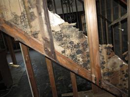 mold damage interior