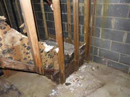 water damage mold 