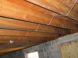 water damage mold