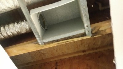 mold interior