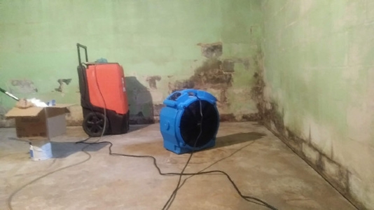 water damage remediation