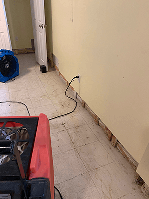 water damage remediation
