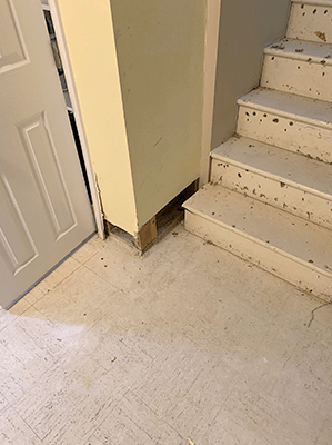 flood damage 