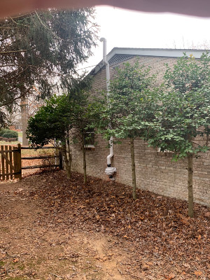 radon mitigation 