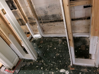 water damage 