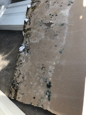 Water damage