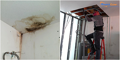 mold damage