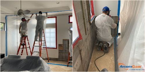 Mold remediation