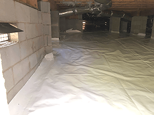 crawlspace 