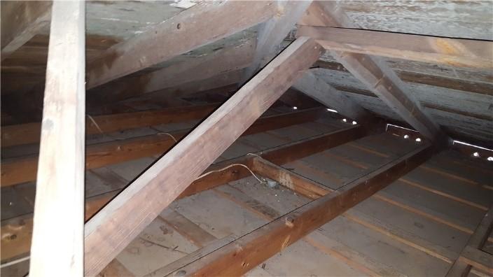 mold removal