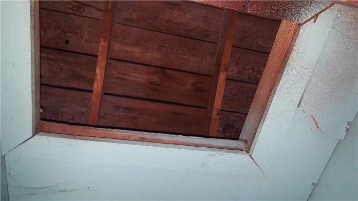 mold on wall 