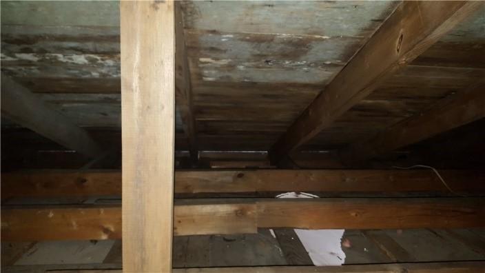 Mold in office building