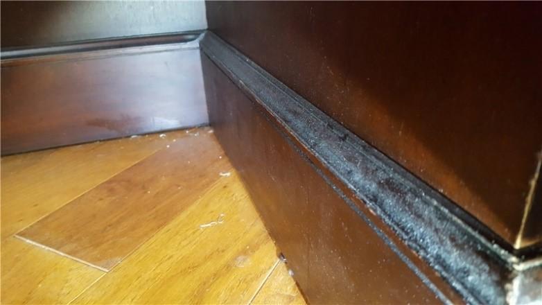 mold on wood 