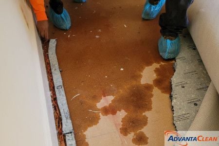How to Choose the Right Water Damage Restoration Company