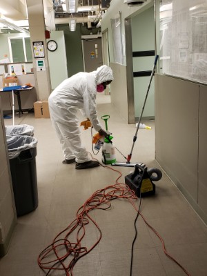 Decontamination 