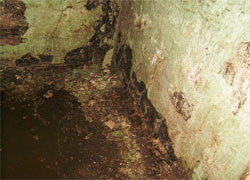 foundation 