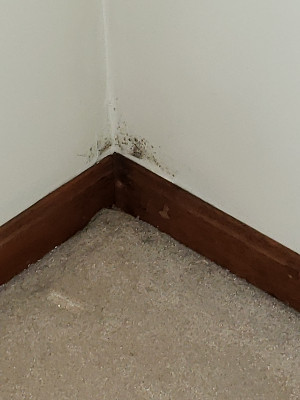 home interior 