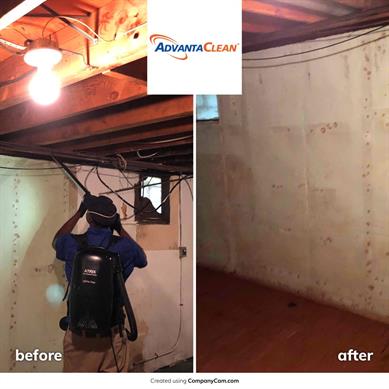 basement mold remediation 