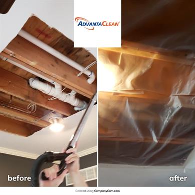 Mold removal from ceiling before and after