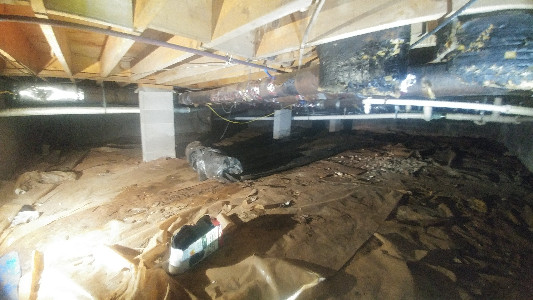 crawlspace 