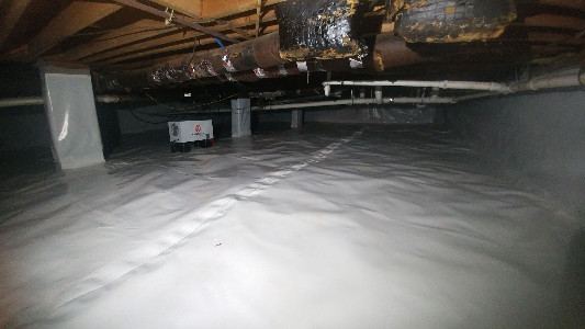 crawlspace 