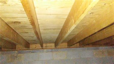 Clean mold wood