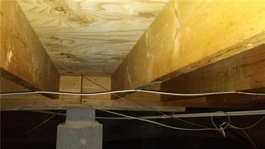 Mold cleaning