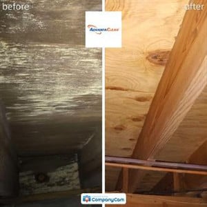 RealEstateSecond8.jpg