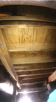 mold removal
