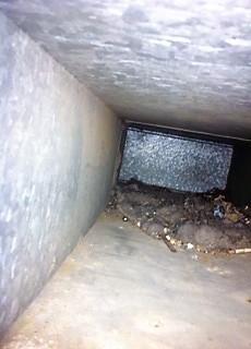 Mold in ducts