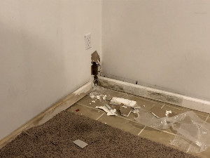 Mold on outside Faucet